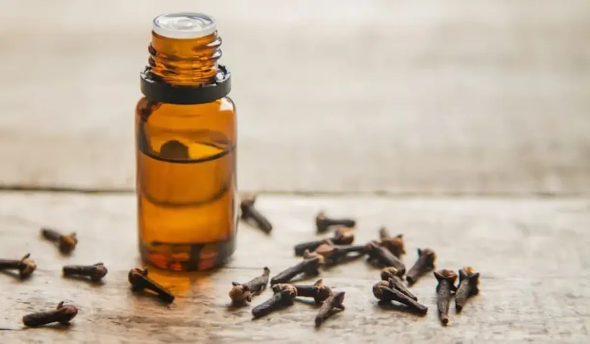 clove oil for tooth pain